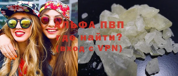 крисы Алексин