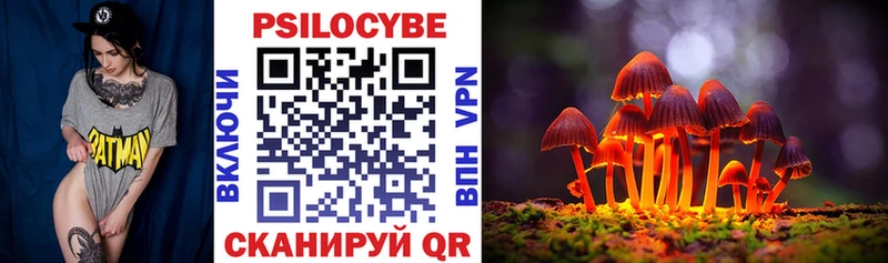 продажа наркотиков  Сортавала  Галлюциногенные грибы Psilocybe 